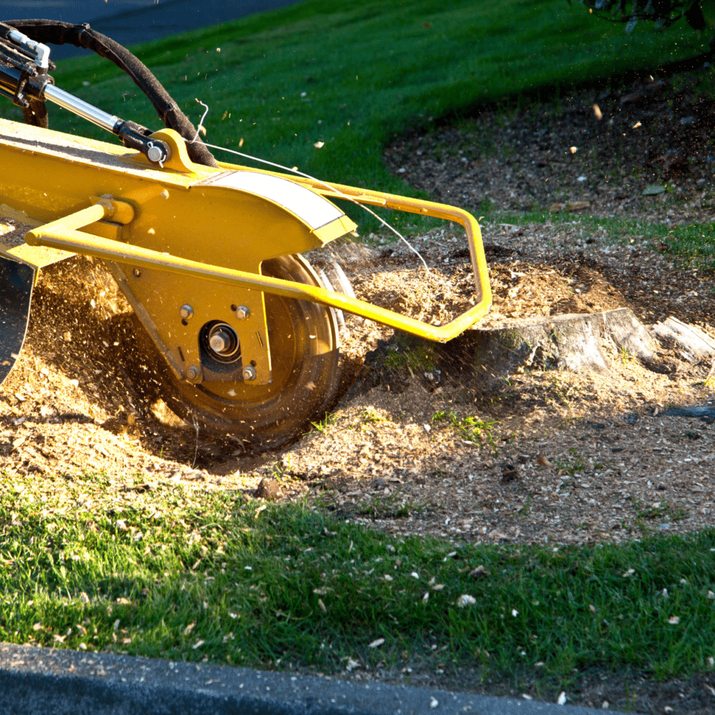 Professional stump grinding and removal services in Edmond - Complete yard restoration