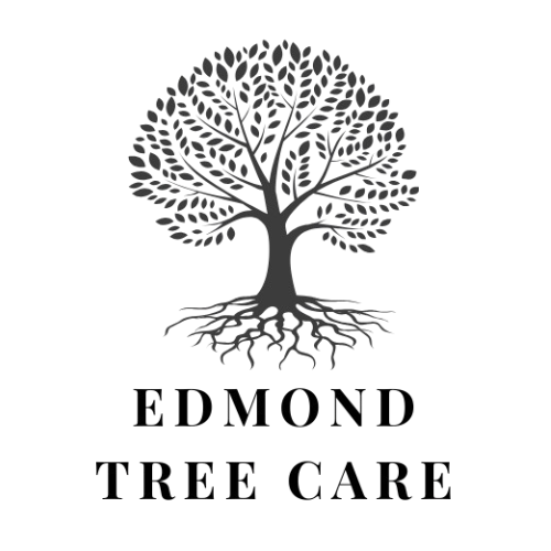 Edmond Tree Care - Professional Tree Service in Oklahoma