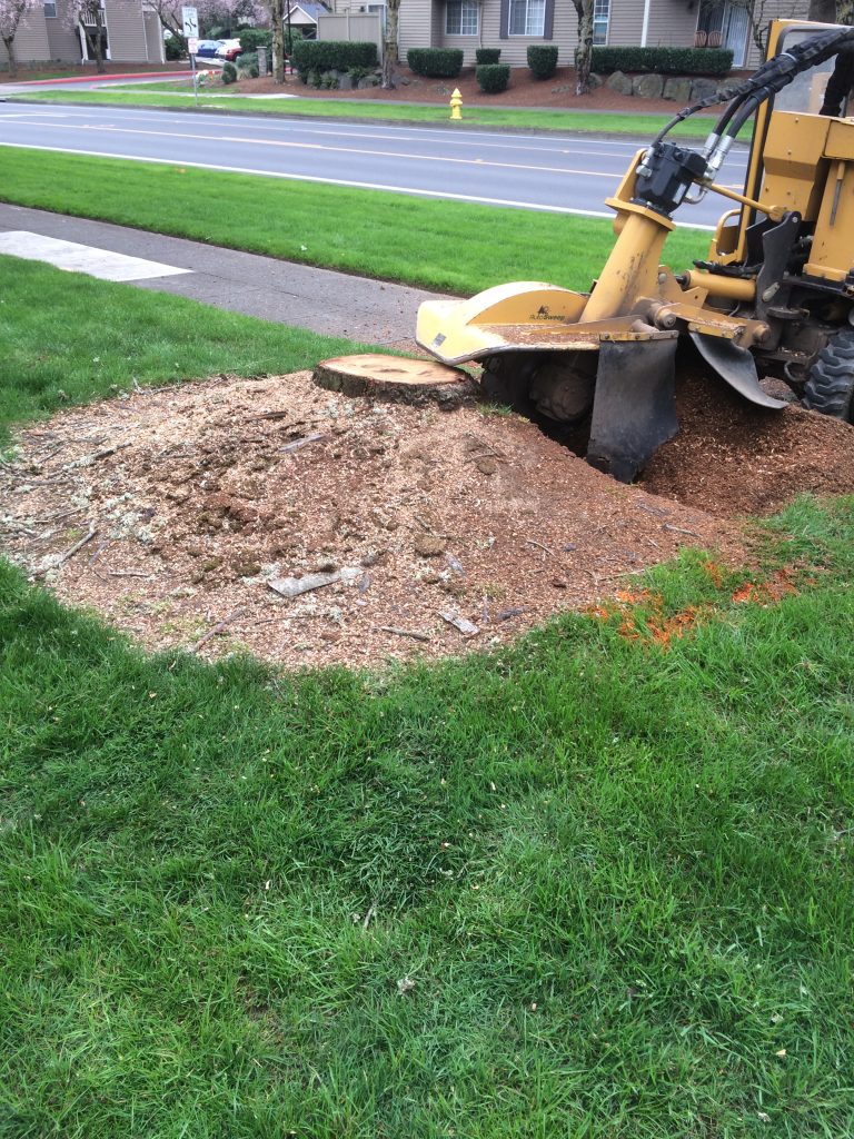 Professional stump grinding in Luther - Fast, safe, and affordable